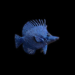Turbo Dork Turboshift - Wavelength