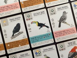 Wingspan: Americas Expansion