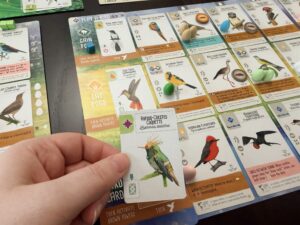 Wingspan: Americas Expansion