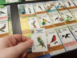 Wingspan: Americas Expansion