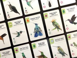 Wingspan: Americas Expansion