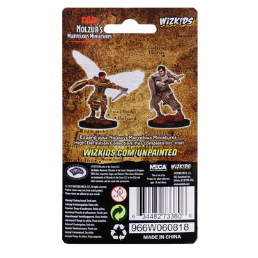 D&D Nolzur's Marvelous Miniatures: Aasimar Fighter (Male)