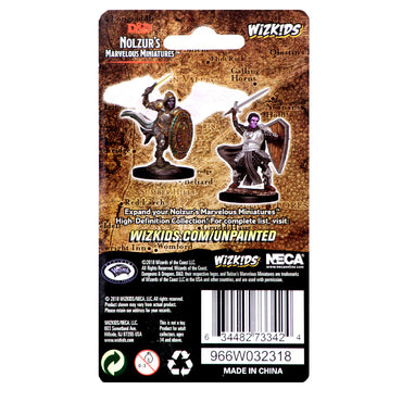D&D Nolzur's Marvelous Miniatures: Aasimar Paladin (Male)