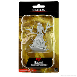 D&D Nolzur's Marvelous Miniatures: Boneclaw