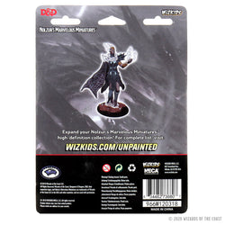 D&D Nolzur's Marvelous Miniatures - Cloud Giant