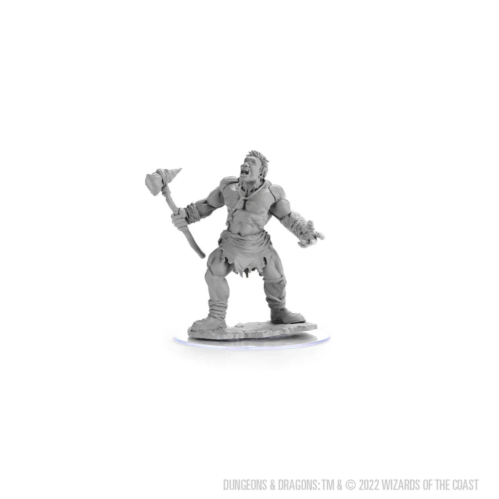 D&D Nolzur's Marvelous Miniatures: Cyclops