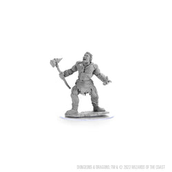 D&D Nolzur's Marvelous Miniatures: Cyclops