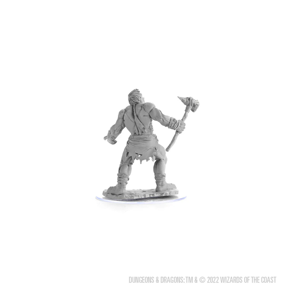 D&D Nolzur's Marvelous Miniatures: Cyclops