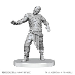 D&D Nolzur's Marvelous Miniatures: Swarm of Rot Grubs & Rot Grub Victim