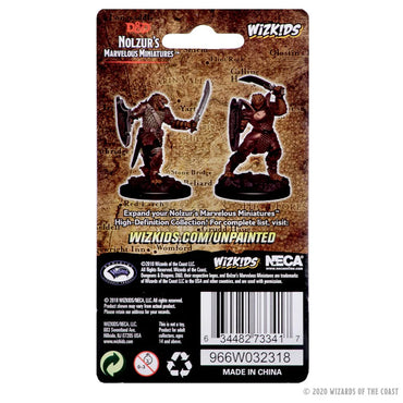 D&D Nolzur's Marvelous Miniatures: Dragonborn Female Paladin