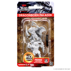 D&D Nolzur's Marvelous Miniatures: Dragonborn Male Paladin