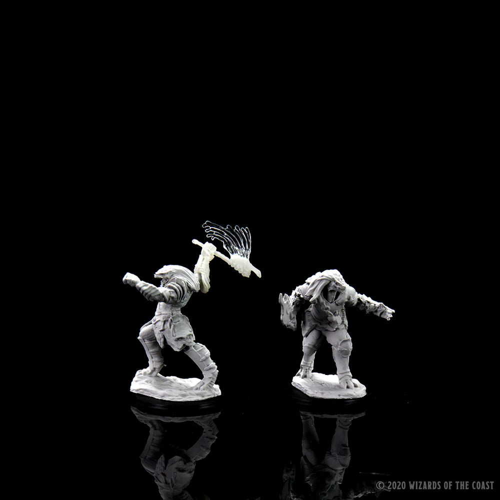 D&D Nolzur's Marvelous Miniatures - Female Dragonborn Fighter