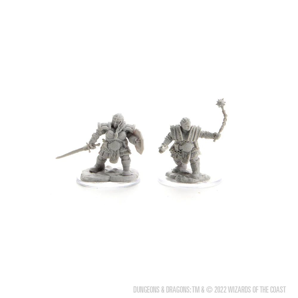 D&D Nolzur's Marvelous Miniatures: Dwarf Fighter Female