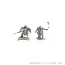 D&D Nolzur's Marvelous Miniatures: Dwarf Fighter Female