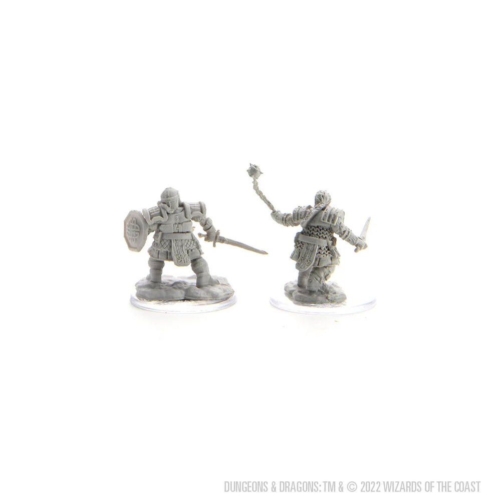 D&D Nolzur's Marvelous Miniatures: Dwarf Fighter Female