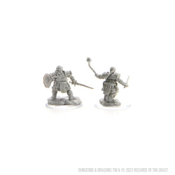 D&D Nolzur's Marvelous Miniatures: Dwarf Fighter Female