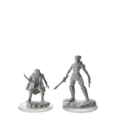 D&D Nolzur's Marvelous Miniatures: Elf Rogue & Half-Elf Rogue Protégé