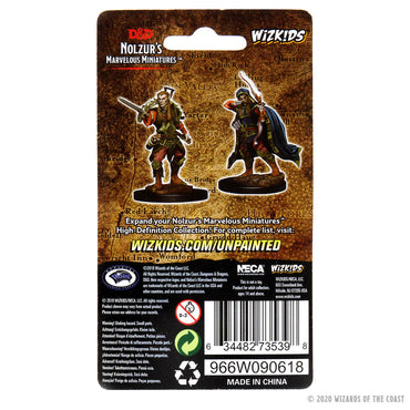 D&D Nolzur's Marvelous Miniatures - Male Elf Rogue