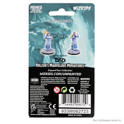 D&D Nolzur's Marvelous Miniatures: Elf Wizards