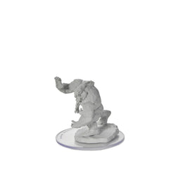 D&D Nolzur's Marvelous Miniatures: Girallon