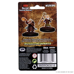 D&D Nolzur's Marvelous Miniatures: Male Gnome Wizard