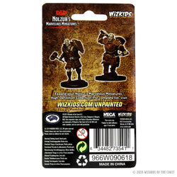 D&D Nolzur's Marvelous Miniatures - Male Goliath Fighter