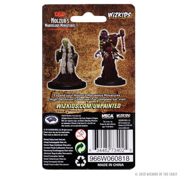D&D Nolzur's Marvelous Miniatures: Green Hag & Night Hag