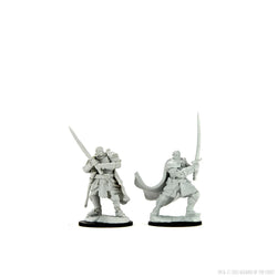 D&D Nolzur's Marvelous Miniatures: Half-Orc Paladin Male