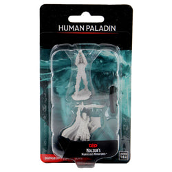 D&D Nolzur's Marvelous Miniatures - Male Human Paladin