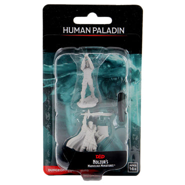 D&D Nolzur's Marvelous Miniatures - Male Human Paladin