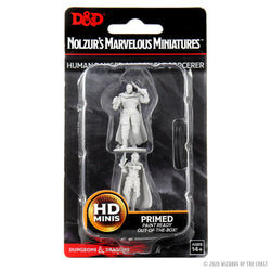 D&D Nolzur's Marvelous Miniatures: Human Ranger & Moon Elf Sorcerer
