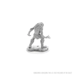 D&D Nolzur's Marvelous Miniatures: Ice Troll Female