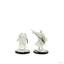 Pathfinder Deep Cuts: Human Champion Male