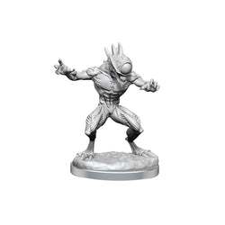 D&D Nolzur's Marvelous Miniatures: Nothics