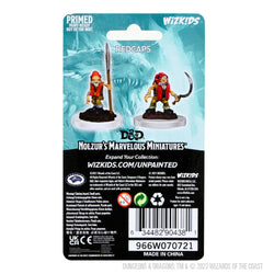 D&D Nolzur's Marvelous Miniatures: Redcaps
