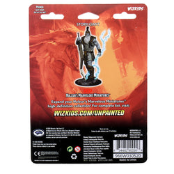 D&D Nolzur's Marvelous Miniatures - Storm Giant