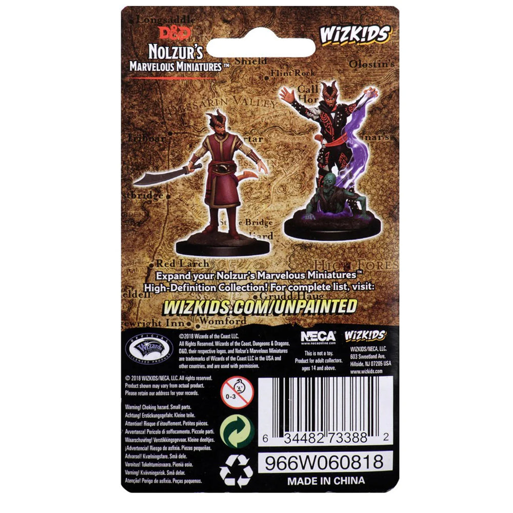 D&D Nolzur's Marvelous Miniatures: Male Tiefling Warlock