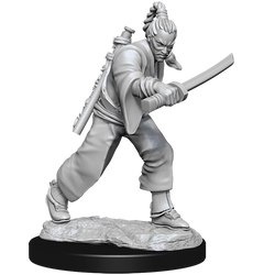 D&D Nolzur's Marvelous Miniatures - Male Human Monk