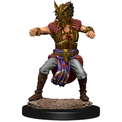 D&D Nolzur's Marvelous Miniatures - Male Human Monk
