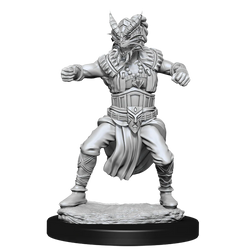 D&D Nolzur's Marvelous Miniatures - Male Human Monk