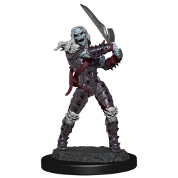 D&D Nolzur's Marvelous Miniatures - Wight & Ghast