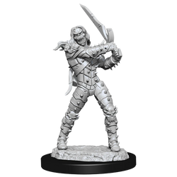 D&D Nolzur's Marvelous Miniatures - Wight & Ghast