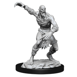 D&D Nolzur's Marvelous Miniatures - Wight & Ghast