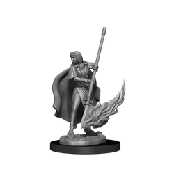Pathfinder Battles Deep Cuts - Female Human Oracle