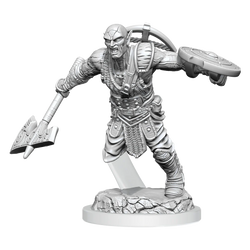 D&D Nolzur's Marvelous Miniatures: Earth Genasi Fighter