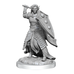 D&D Nolzur's Marvelous Miniatures: Elf Cleric Male