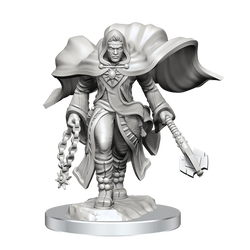 D&D Nolzur's Marvelous Miniatures: Aasimar Cleric Male