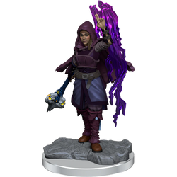D&D Nolzur's Marvelous Miniatures: Half-Elf Warlock