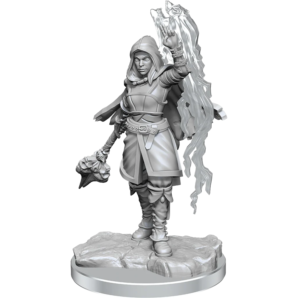 D&D Nolzur's Marvelous Miniatures: Half-Elf Warlock