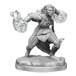 D&D Nolzur's Marvelous Miniatures: Half-Elf Warlock